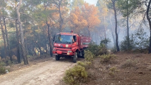 Seydikemer'deki yangın kontrol altına alındı