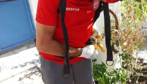 Su kuyusuna düşen yavru kedi kurtarıldı