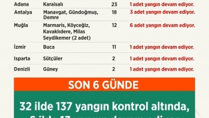 Tarım ve Orman Bakanı Pakdemirli: “137 orman yangını kontrol altında, 13 orman yangını devam ediyor”