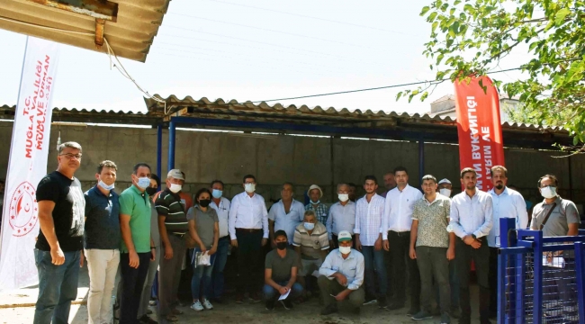 Yangın mağduru çiftçilere havyan desteği