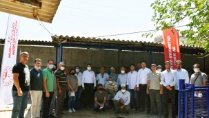 Yangın mağduru çiftçilere havyan desteği