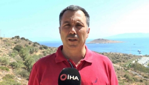 Yangın sonrası Bodrum’da hayat normale dönmeye başladı