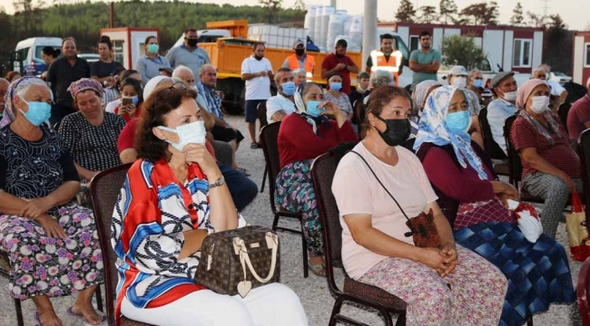 Belediye yangında zarar görmüş zeytin ağaçlarının sağlıklı gelişmesi için çalışıyor