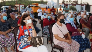 Belediye yangında zarar görmüş zeytin ağaçlarının sağlıklı gelişmesi için çalışıyor