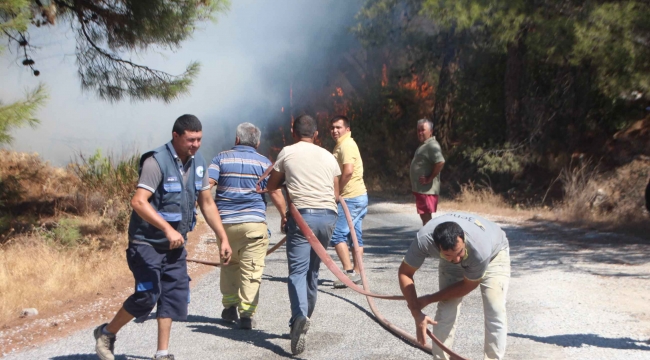 Bodrum'da çıkan yangında 13 hektar alan küle döndü