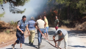 Bodrum'da çıkan yangında 13 hektar alan küle döndü