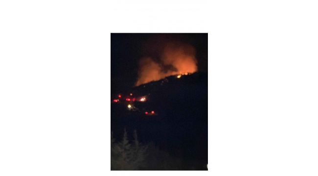 Bodrum’da gece çıkan orman yangını, sabah kontrol altına alındı