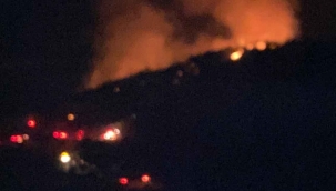 Bodrum’da gece çıkan orman yangını, sabah kontrol altına alındı