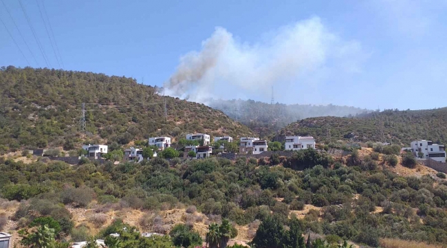 Bodrum’da orman yangını