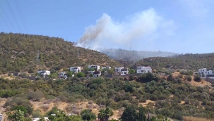 Bodrum’da orman yangını