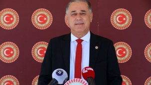 CHP’Lİ ÖZCAN TARIM VE ORMAN BAKANINA YANGINLARLA İLGİLİ 41 SORU SORDU
