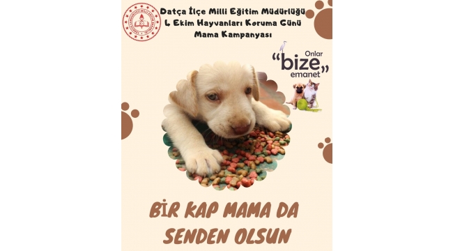Datça İlçe Milli Eğitim’den mama kampanyası