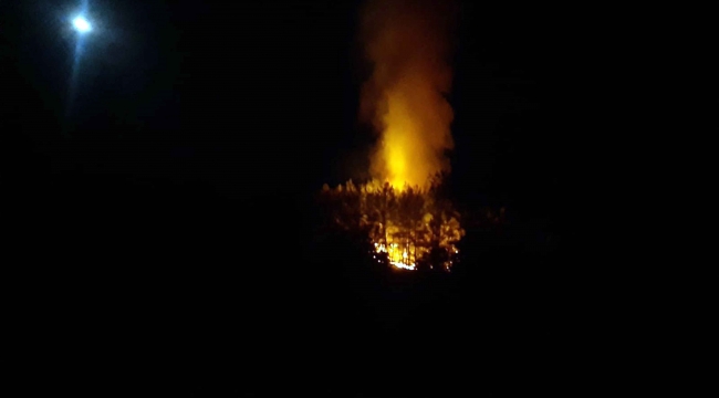 Fethiye'de orman yangını 