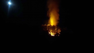 Fethiye’de orman yangını
