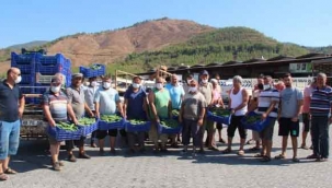 Fethiye’de Ürettikleri Salatalıkları Satmayınca Eylem Yaptılar