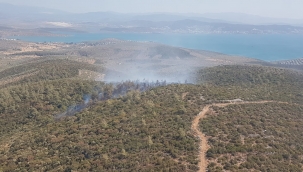 Kıyıkışlacık’ta ormanlık alanda yangın başladı