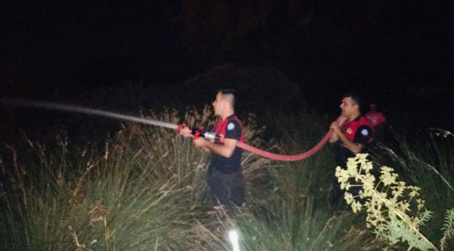 Köyceğiz’de sazlık yangını