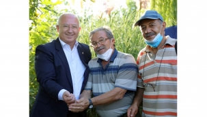 Menteşe’de hasat şenliği