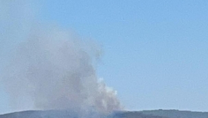 Milas Kıyıkışlacık orman yangını