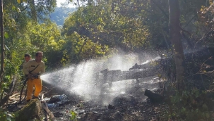 Muğla’da 3 günde 37 yıldırım yangını