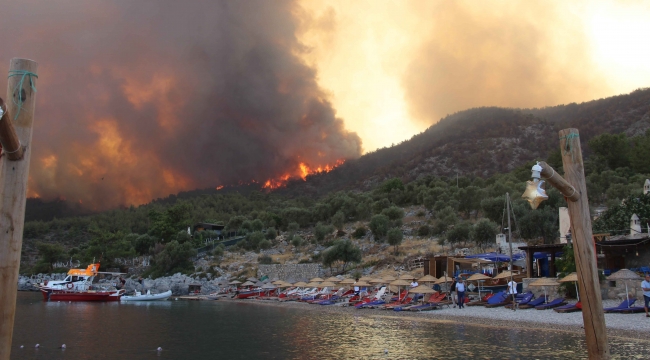 Muğla’da ormanlara giriş 1 Ekim’e kadar uzatıldı