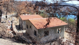 Muğla'daki yangının ardından yaralar sarılmaya devam ediyor