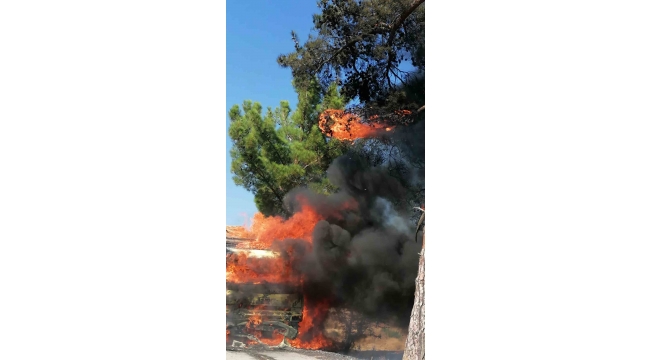 Tomruk yüklü kamyon yandı