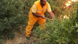 Tunceli’deki orman yangınları kontrol altına alındı