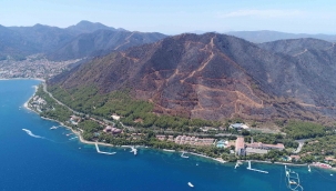 Yanan alanlarda kesim çalışmaları başladı