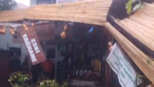 2000 yıllık anıt çınar ağacı şiddetli rüzgara dayanamadı
