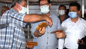 Balık yumurtası ve bottargada hedef 1 milyon kiloyu aşmak