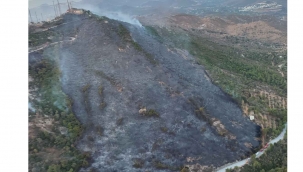Bodrum'da makilik alanda yangın