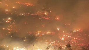 Dalaman Akkaya Sıraderesi mevkiinde orman yangını