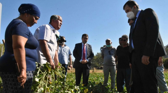 Dalaman’da kışlık sebze tarla günü
