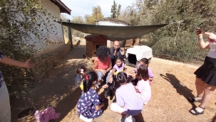 Harçlıklarını biriktirerek aldıkları mamaları barınağa teslim ettiler