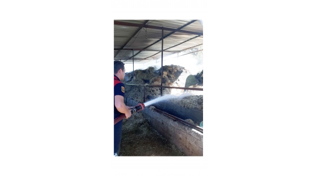 Kaynak yaparken kendilerini ve hayvanları yakıyorlardı