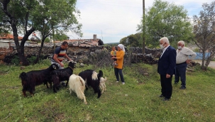 Kıl Keçisi desteği başvuruları devam ediyor