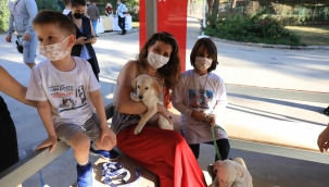 Marmaris'te hayvan barınağı öğrencilerin akınına uğradı
