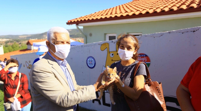 Sokak hayvanları 'mikroçip' ile kayıt altına alınıyor