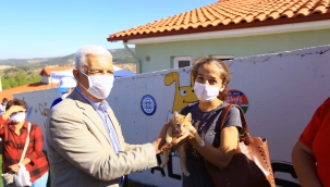 Sokak hayvanları 'mikroçip' ile kayıt altına alınıyor