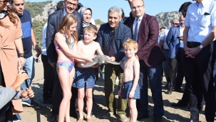 Tedavileri tamamlanan deniz kaplumbağaları deni ze bırakıldı