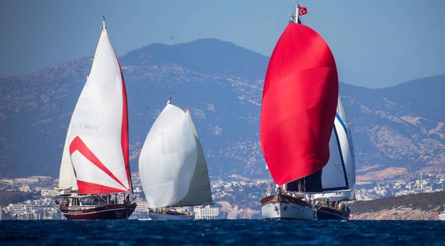 The Bodrum Cup’ta 2 yelkenli çarpıştı