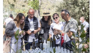 Zeytin hasadının ilk adımları