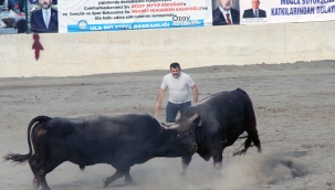 Güreşlerin geliri kimsesiz çocuklara