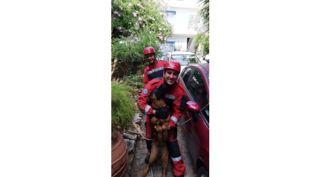 Kuyuya düşen köpeği itfaiye kurtardı