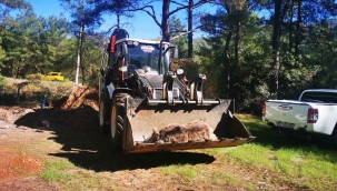 Milli Park yetkilileri ölü ayıyı bulunduğu yerden kaldırdı