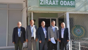 Muğla Ziraat Odalarından limon üreticisine destek çağrısı