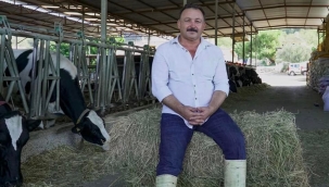 Süt üreticisinin üretim hevesi kursağında kaldı