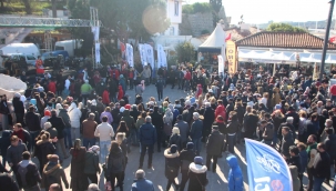 Bodrum’da 2,5 ton hamsi dağıtıldı, metrelerce kuyruk oluştu