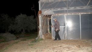 Fethiye'de seracıların sobalı zirai don nöbeti